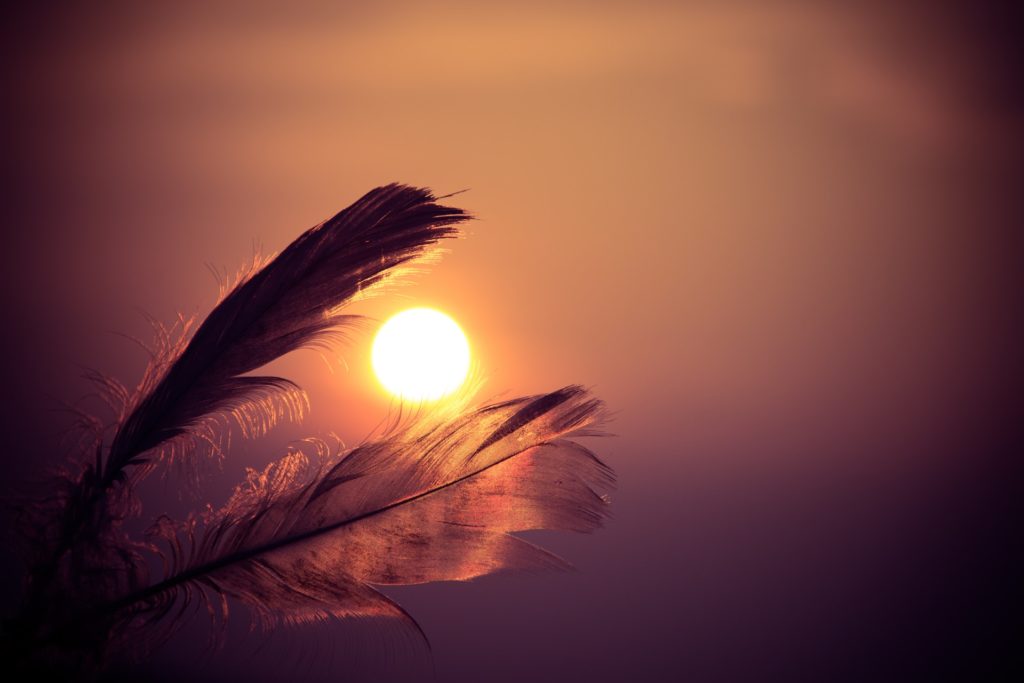 The Eagle Feather and the Indian Drum