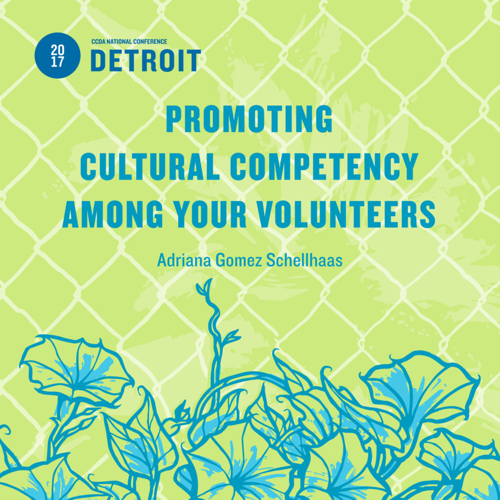 Promoting Cultural Competency Among Your Volunteers » Christian ...