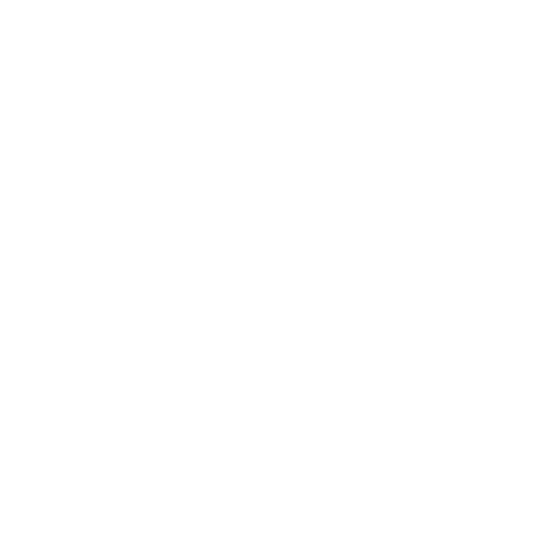 Virtual Community Development