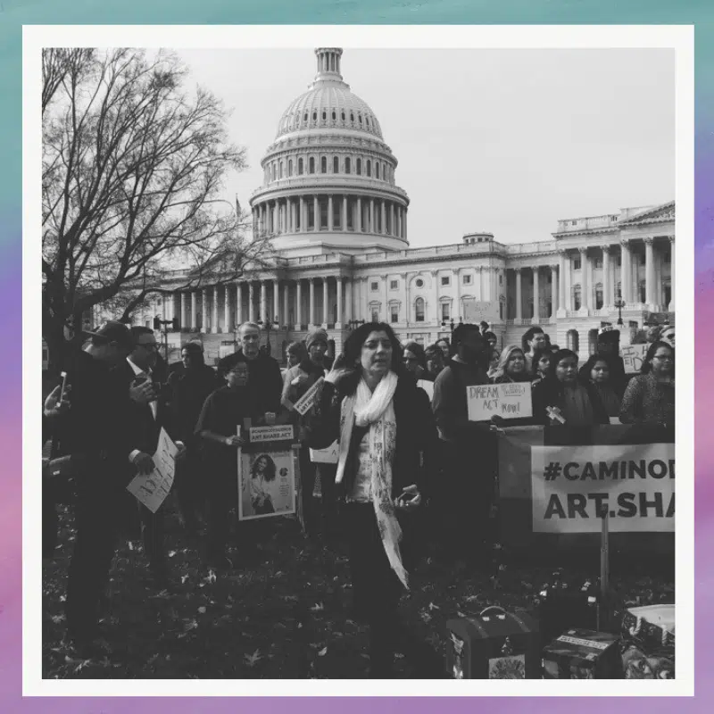 Using Arts, Media, & Activism to Ignite the Story