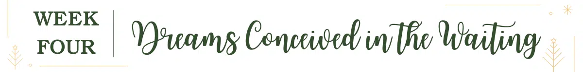 Dreams Conceived in the Waiting