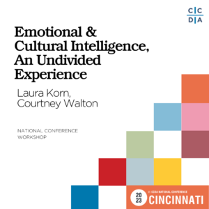 Emotional & Cultural Intelligence, An Undivided Experience