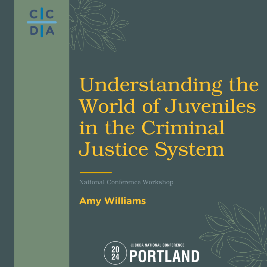 Understanding the World of Juveniles in the Criminal Justice System