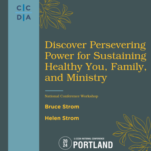 Discover Persevering Power for Sustaining Healthy You, Family, and Ministry - Bruce Strom, Helen Strom