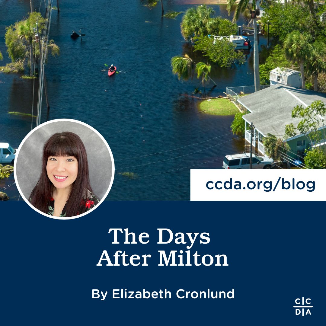 The Days After Milton by Elizabeth Cronlund