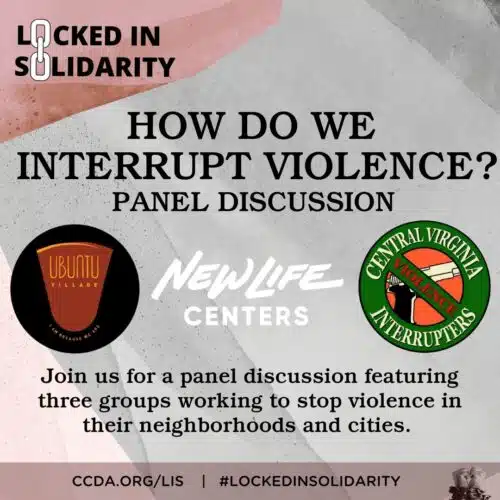 How Do We Interrupt Violence? Panel Discussion