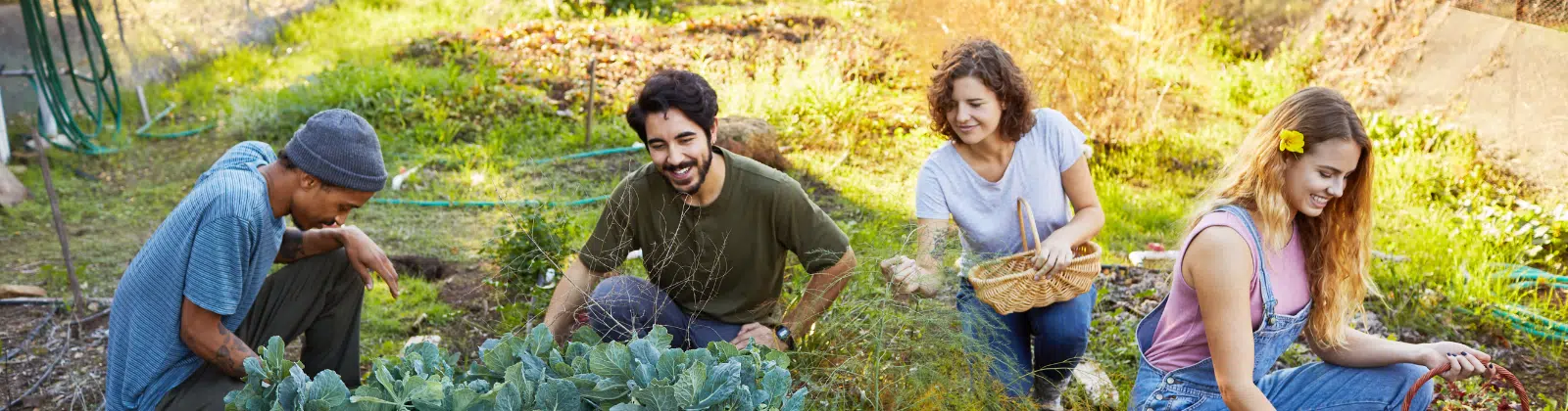 Diverse people working in nature
