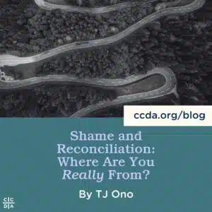 Shame and Reconciliation: Where are You Really From? by TJ Ono