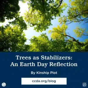 Trees as Stabilizers: An Earth Day Reflection by Kinship Plot
