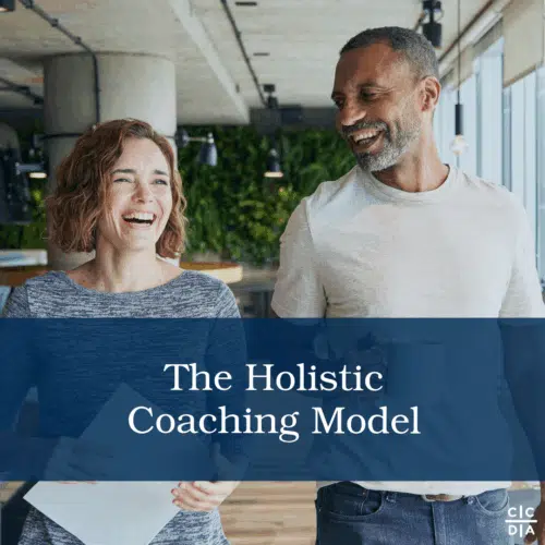 The Holistic Coaching Model