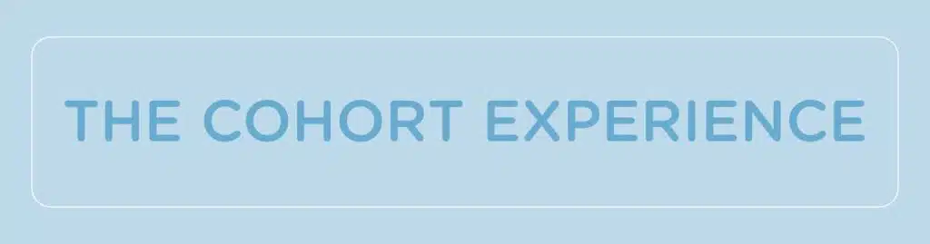 The Cohort Experience