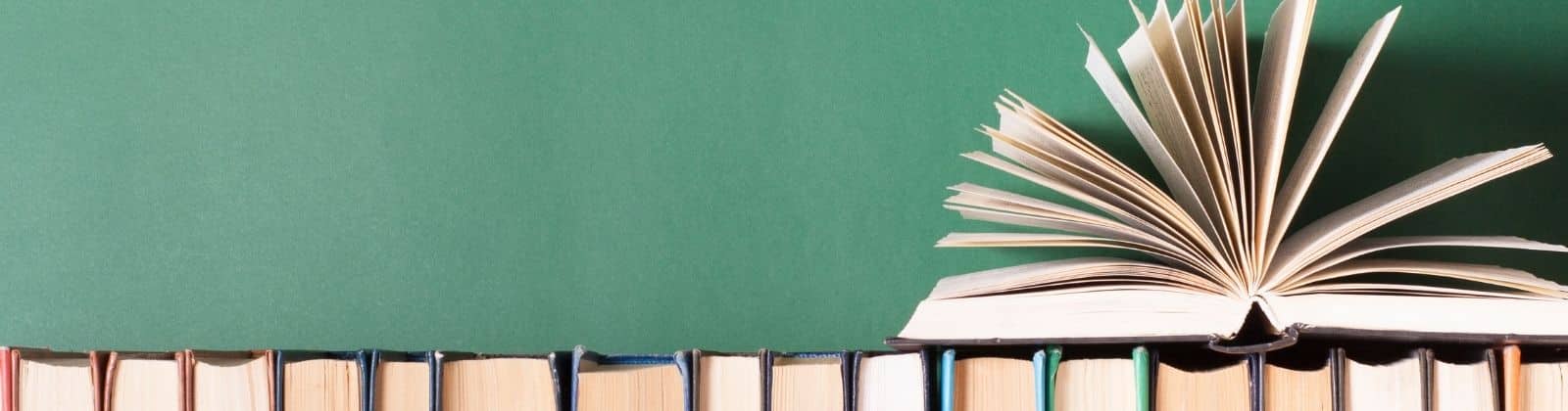 TransformED Education Equity Network