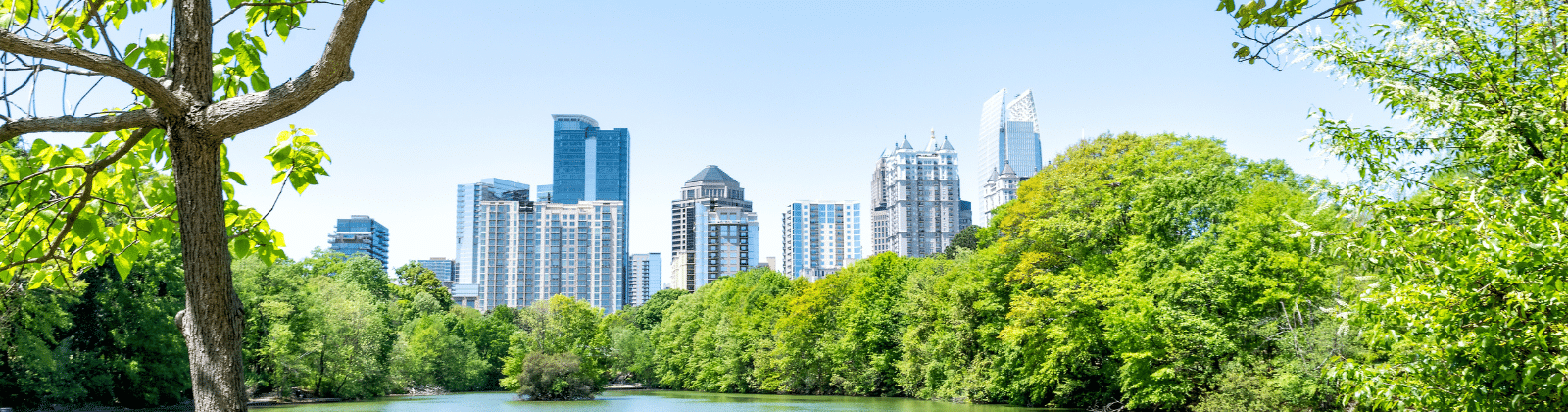 Atlanta skyline through the trees