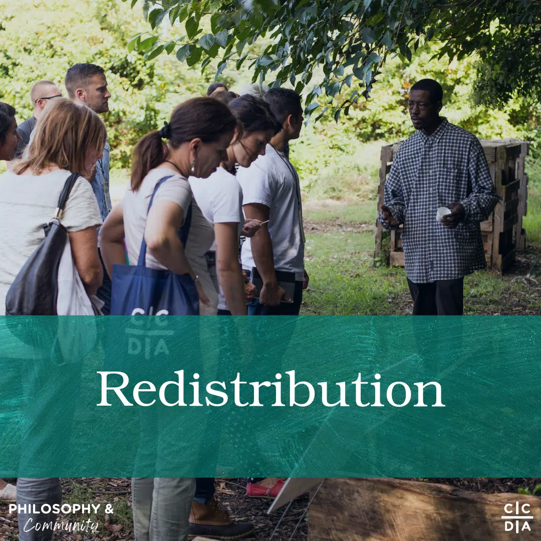 Redistribution (2026)