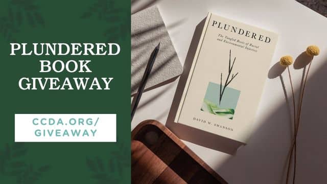 Plundered Book Giveaway

ccda.org/giveaway