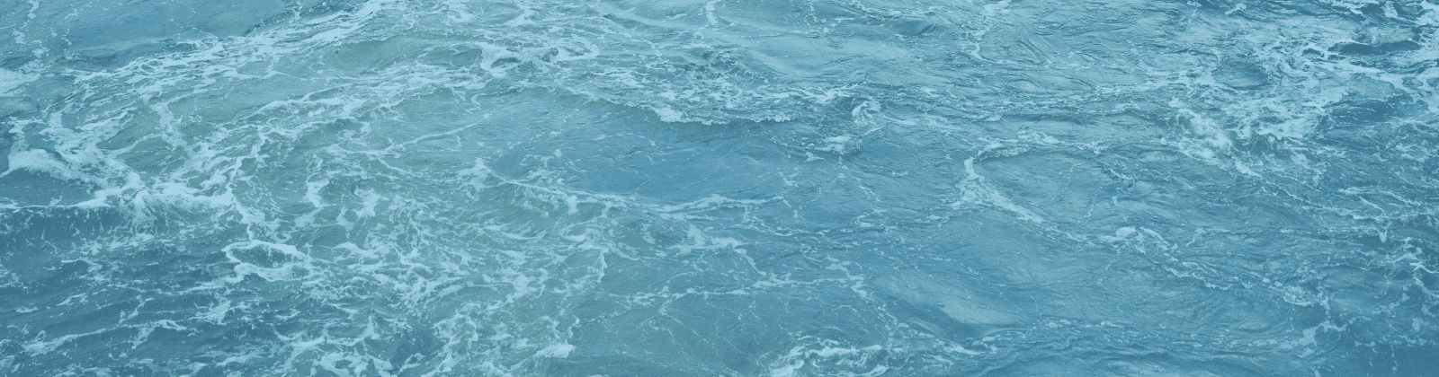 Living Water: Community Development and the Flourishing of Creation
